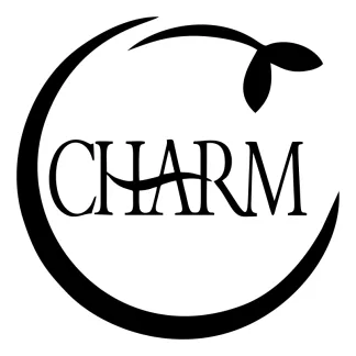 Charm Bracelets