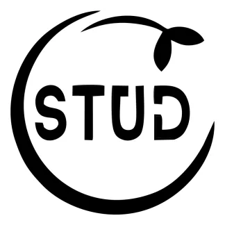 Stud Earrings