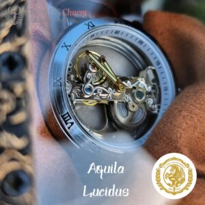 Stainless Steel Watch Aquila Lucidus