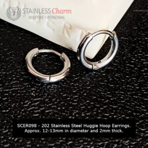 Stainless Steel Earrings