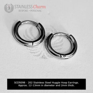 Stainless Steel Earrings