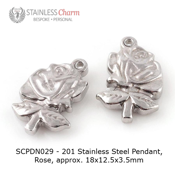 Stainless Steel Pendant