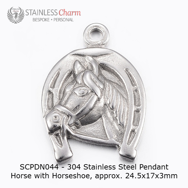 Stainless Steel Pendant