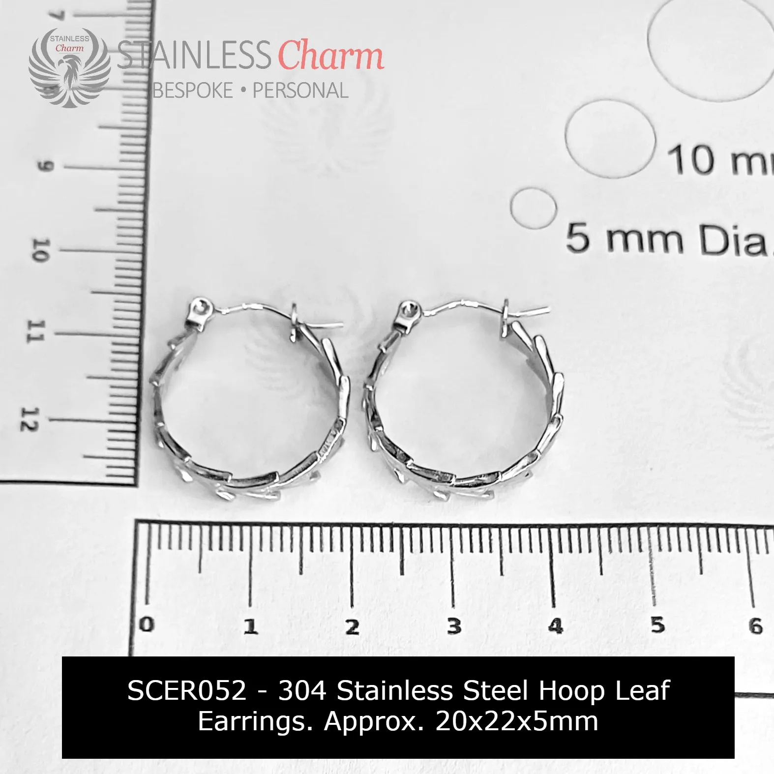 Stainless Steel Earrings