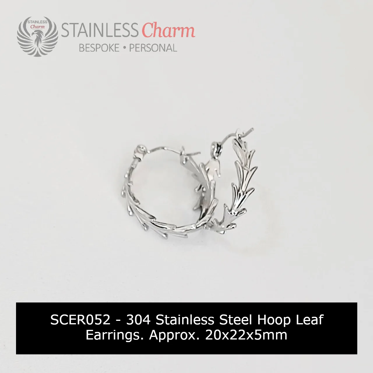 Stainless Steel Earrings