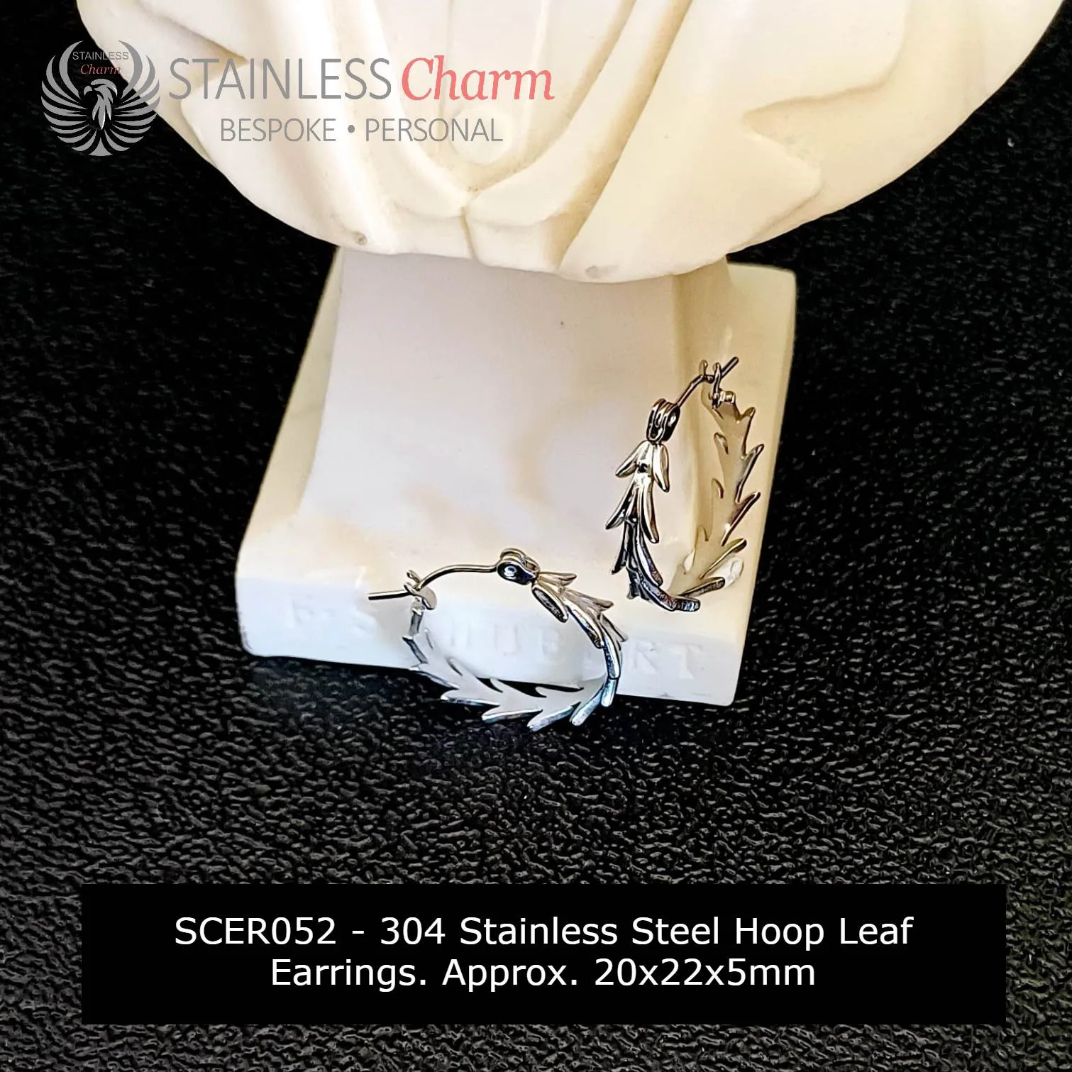 Stainless Steel Earrings