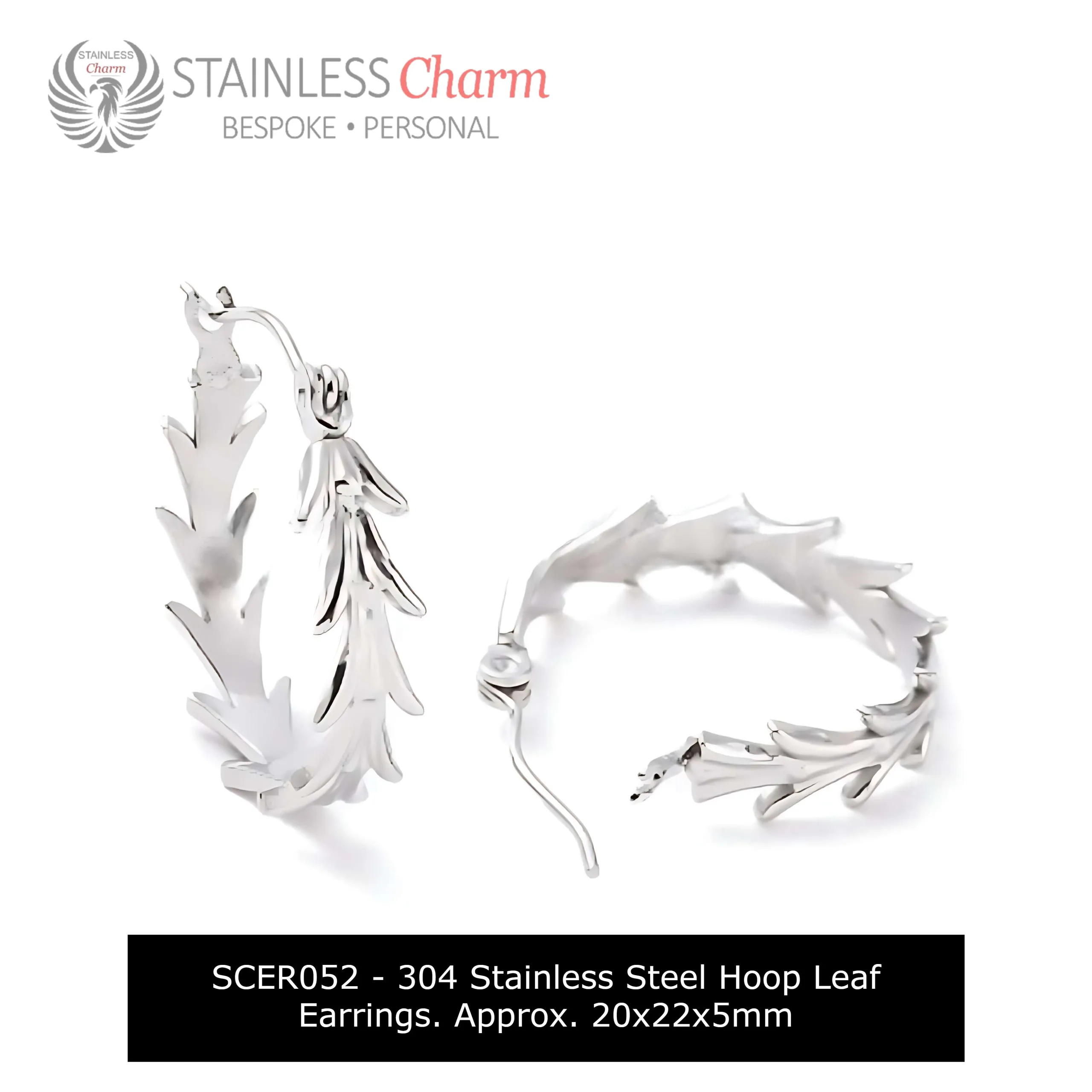 Stainless Steel Earrings
