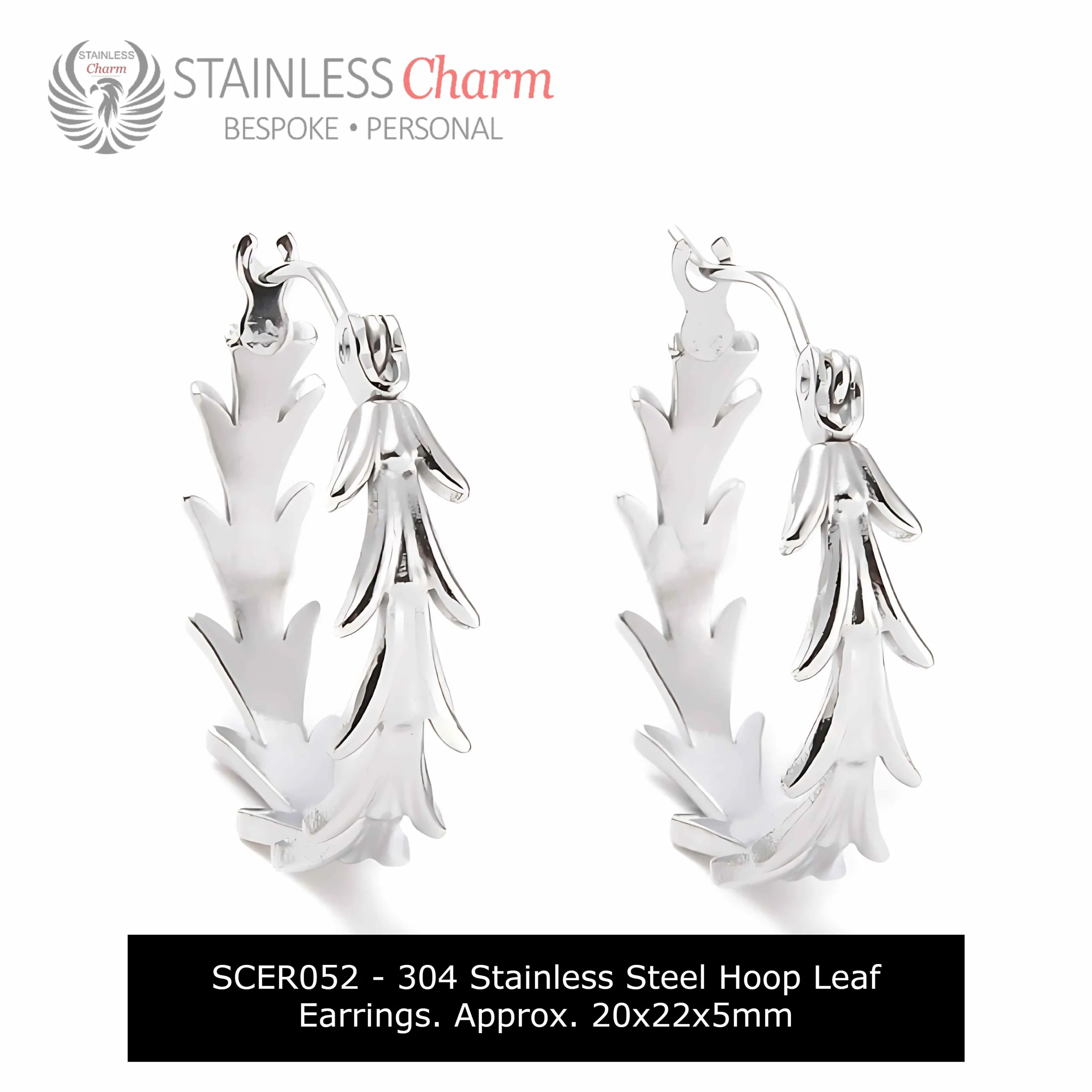 Stainless Steel Earrings