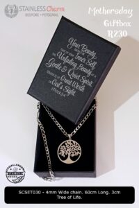 Stainless Steel Chain Set