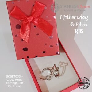 Stainless Steel Earrings