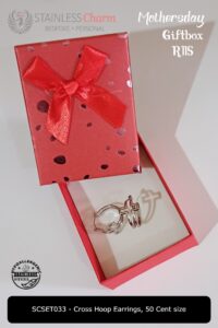 Stainless Steel Earrings