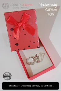Stainless Steel Earrings