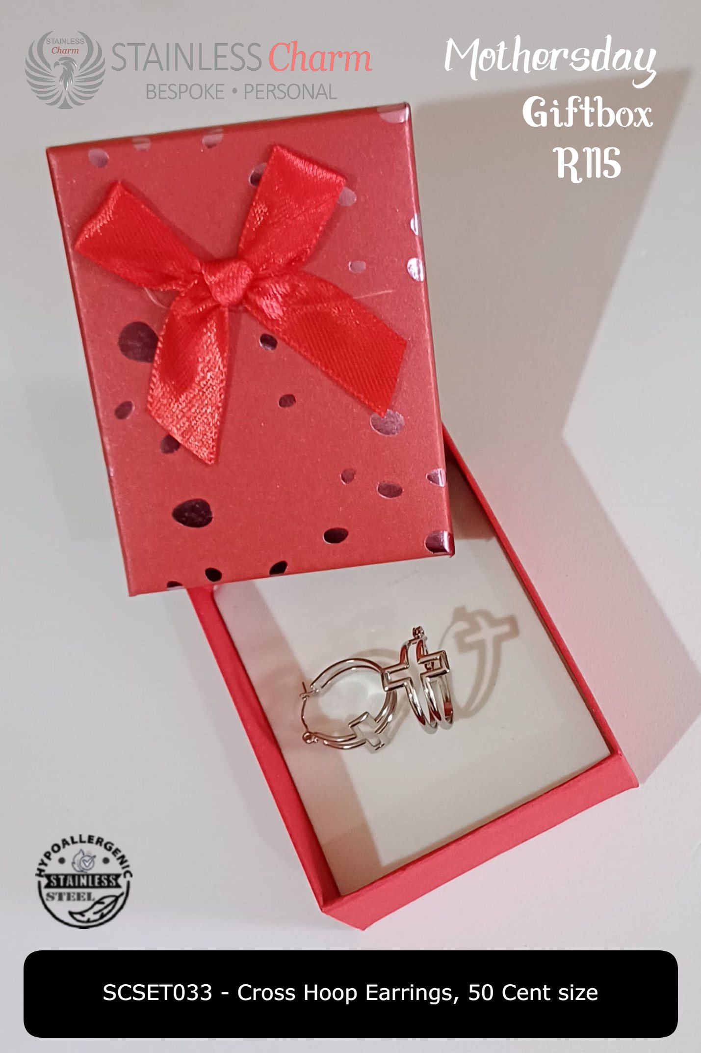 Stainless Steel Earrings