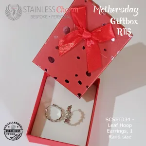 Stainless Steel Earrings