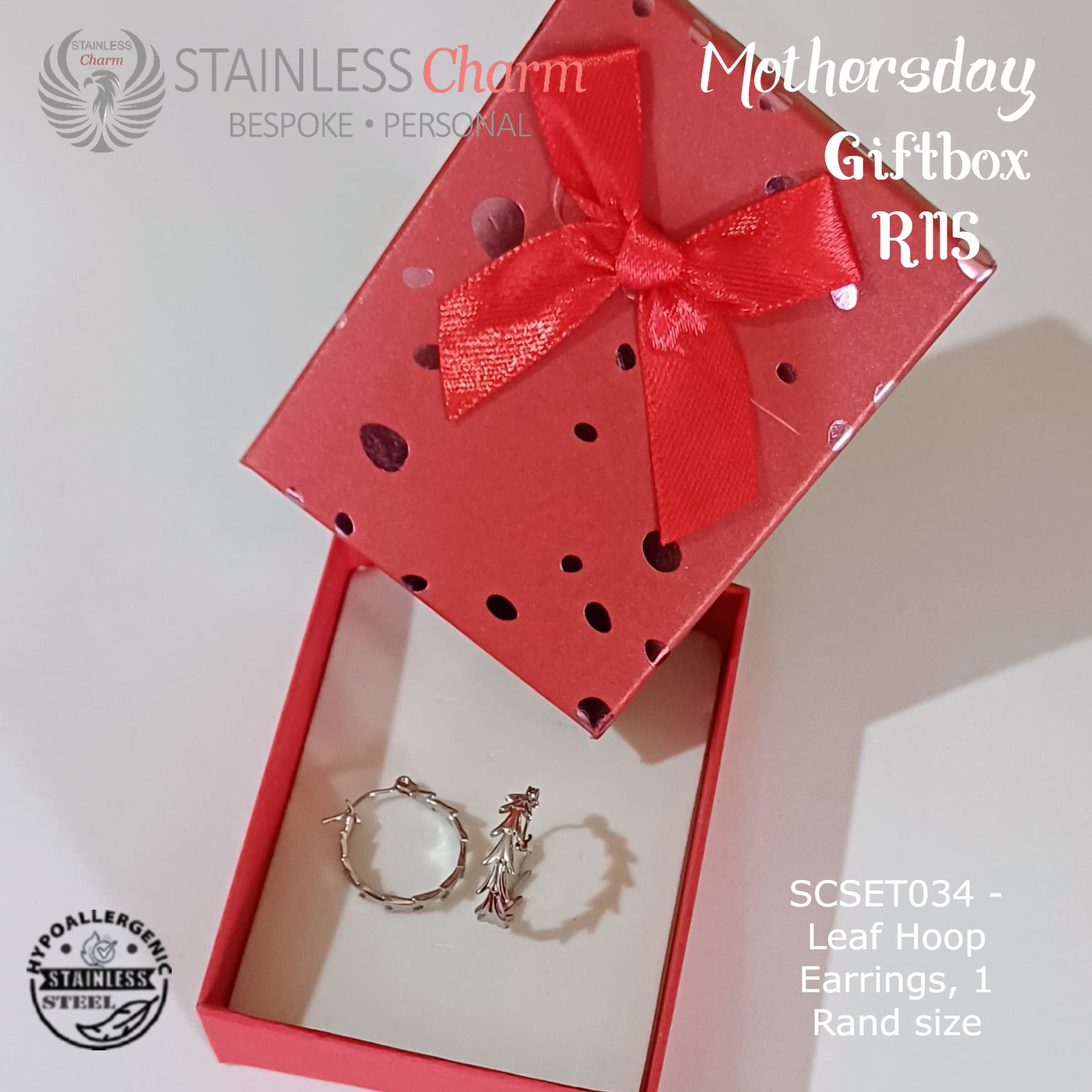 Stainless Steel Earrings