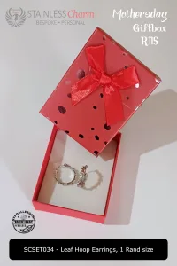 Stainless Steel Earrings