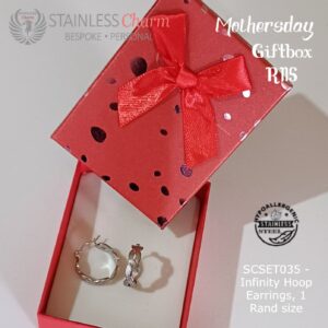 Stainless Steel Earrings
