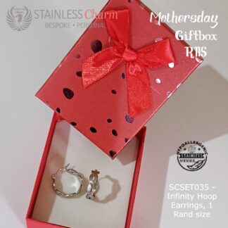 Stainless Steel Earrings