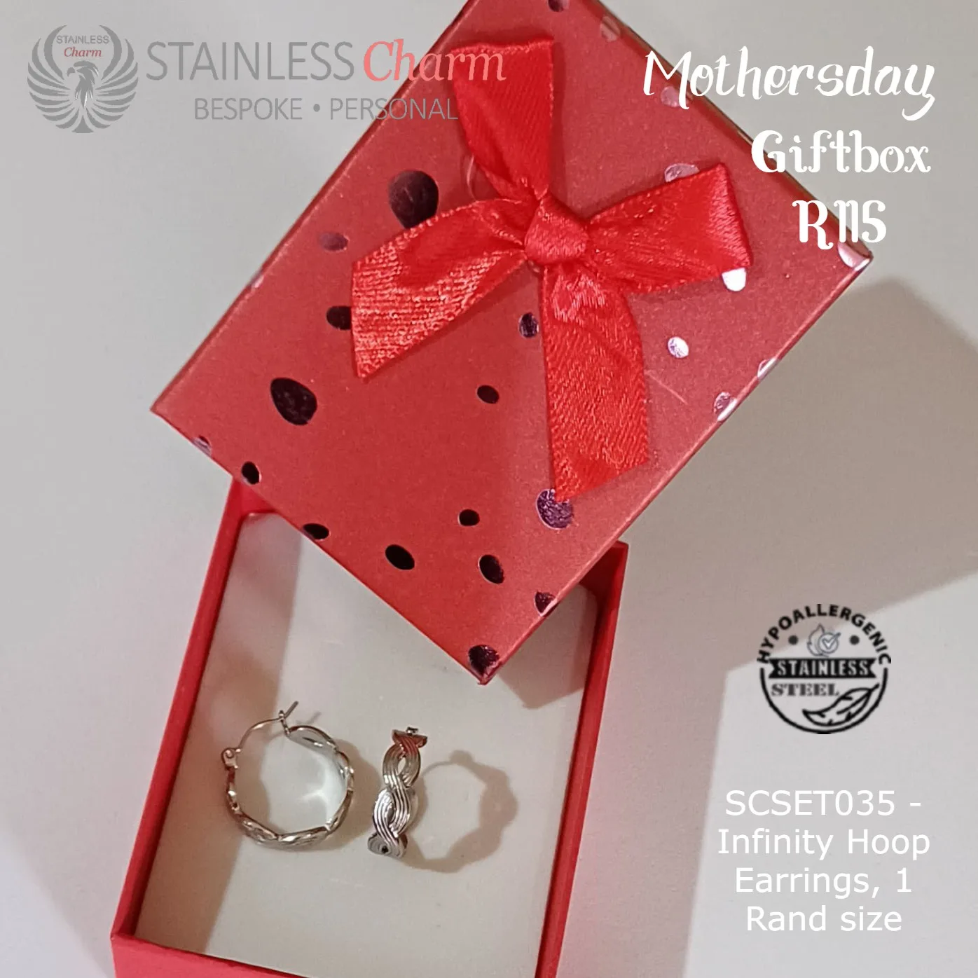 Stainless Steel Earrings