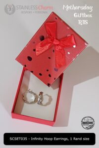 Stainless Steel Earrings