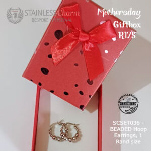 Stainless Steel Earrings