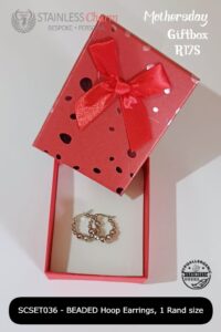 Stainless Steel Earrings