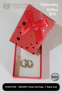 Stainless Steel Earrings